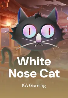 White Nose Cat